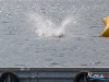 1338img_4161
