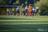 1740IMG_8100_wynik