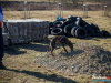 1042img_5829