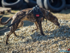 1042img_5830