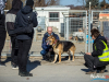 1043img_5834
