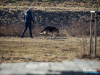 1045img_5843