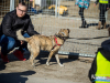 1045img_5844
