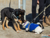 1046img_5852