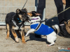 1046img_5853