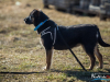 1048img_5854