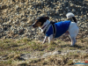 1048img_5856