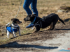 1048img_5857