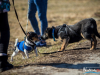 1048img_5858