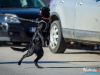 1051img_5880