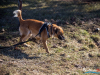 1053img_5888