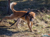 1053img_5890