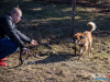 1053img_5891