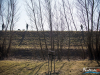 1055img_5894