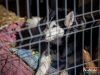 1101img_5909