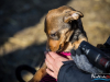 1104img_5917
