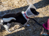 1104img_5922
