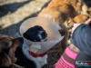 1104img_5923