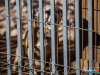 1111img_5928