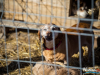 1113img_5933