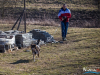 1137img_5945