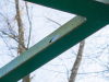 b0061