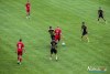 1135IMG_2938