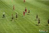 1239IMG_2990