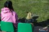 1320IMG_4780