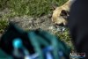 1337IMG_4838
