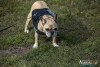 1357IMG_4880