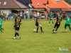 1117img_1427