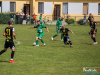 1209img_1464