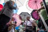 1728IMG_4852