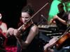 img_7702-kopia