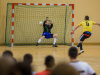 stal-cup-20130119