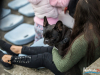 1657img_4178