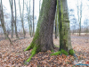 1502img_6766