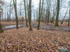 1502img_6768