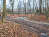 1502img_6769