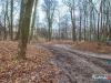 1503img_6777