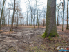 1504img_6781