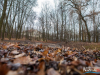 1505img_6794