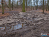 1506img_6803