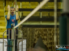1517img_6400