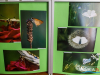 1401img_4543