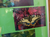 1415img_4551