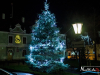 2039img_7452