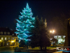 2157img_7796
