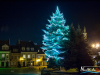 2157img_7798